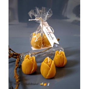 Bivokslys - tulipaner 🐝