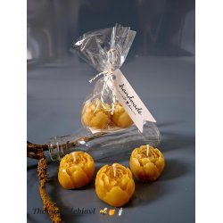 Bivokslys - p�oner blomst 🐝