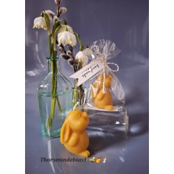 P�skehare bivokslys 🐝