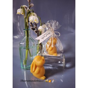 P�skehare bivokslys 🐝