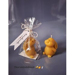 P�skehare bivokslys 🐝