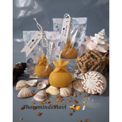 S�stjerne bivokslys 🐝