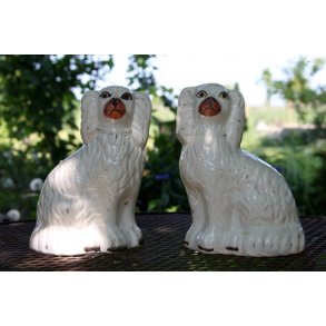 Staffordshire smandshunde