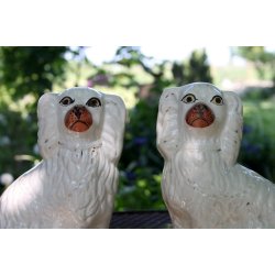 Staffordshire smandshunde