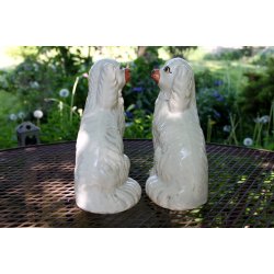 Staffordshire smandshunde