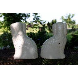 Staffordshire smandshunde