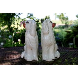 Staffordshire smandshunde