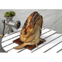 Gammel udstoppet fisk/torsk