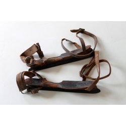 A.K.Hoekstra &amp; Co., Warga skjter