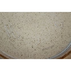 Michael Andersen fad