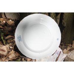 Furnivals dessert tallerken