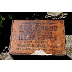 Yellow Peaches kasse