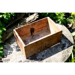 Yellow Peaches kasse