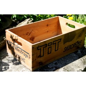 Vibe Hastrup TIT kasse