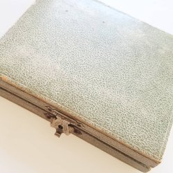 Art  Nouveau broche i slv med rav