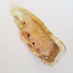 Gammel figur udskret i fedtsten