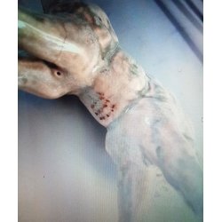 Sholm Bornholm keramik figurer ( pris for begge )