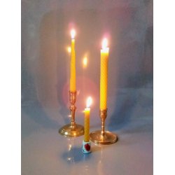 Spidse bivokslys &#128029;