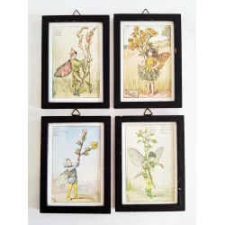 Cicely Mary Barker illustrationer 