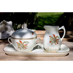 B & G Kaktus sukker flde st