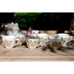 B &amp; G Kaktus kopper