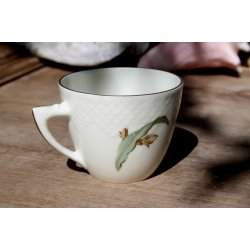 B &amp; G Kaktus kopper