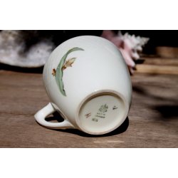 B &amp; G Kaktus kopper