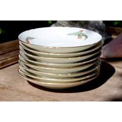 B &amp; G Kaktus undertallerkner