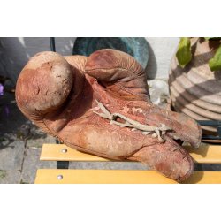 Gammel boksehandske
