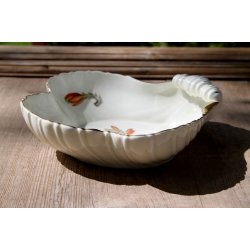 B &amp; G Kaktus skl