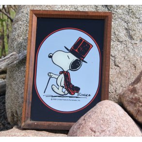 Spejl med Snoopy