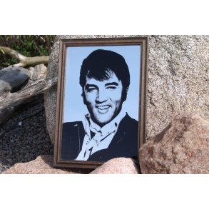 Idol spejl med Elvis