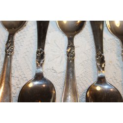 Cohr Alta bestik 113 dele