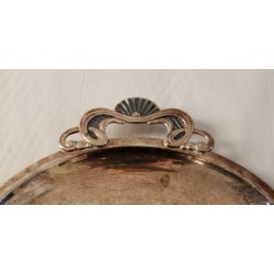 Victoria s�lvplet fad