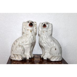 Staffordshire smandshunde