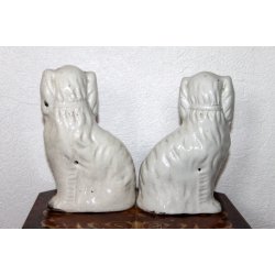 Staffordshire smandshunde