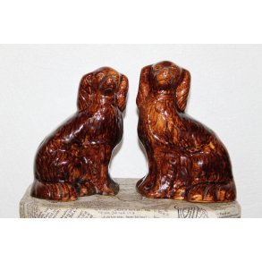 Staffordshire smandshunde