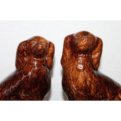 Staffordshire smandshunde