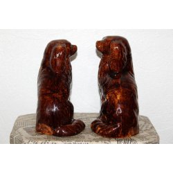 Staffordshire smandshunde