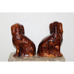 Staffordshire smandshunde