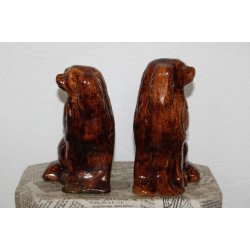 Staffordshire smandshunde