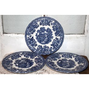 Staffordshire Tonquin by Mytt