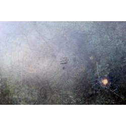 �gte Bronze Danica fad