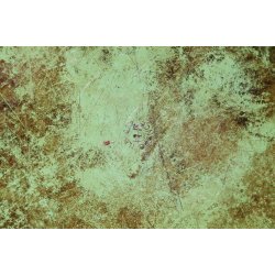 H.F Ildfast bronze fad